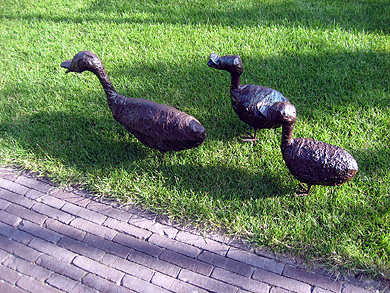 Picture: ../upload/IMG-1003.jpg