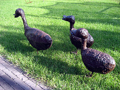 Picture: ../upload/IMG-1004.jpg