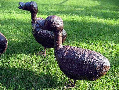 Picture: ../upload/IMG-1005.jpg