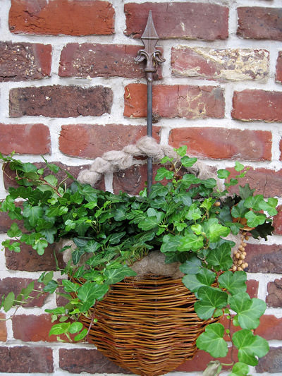 Picture: ../upload/IMG-10208.jpg