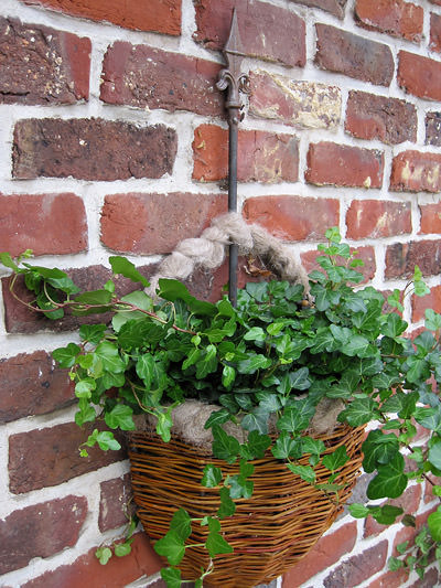 Picture: ../upload/IMG-10209.jpg