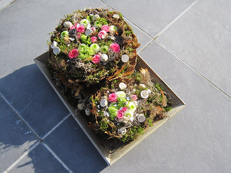 Picture: ../upload/IMG-10550.jpg