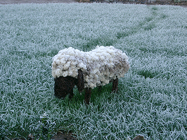 Picture: ../upload/IMG-108.gif