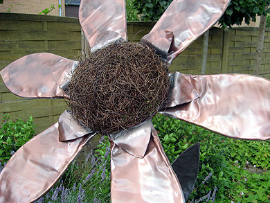 Picture: ../upload/IMG-1153.jpg