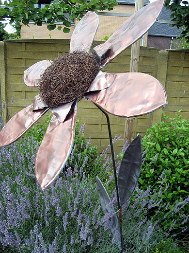 Picture: ../upload/IMG-1154.jpg