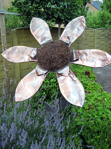 Picture: ../upload/IMG-1155.jpg