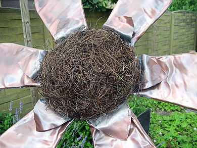 Picture: ../upload/IMG-1156.jpg