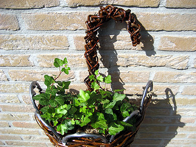 Picture: ../upload/IMG-1168.jpg