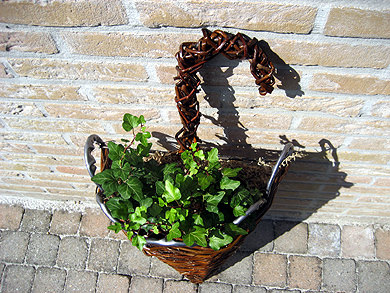 Picture: ../upload/IMG-1169.jpg