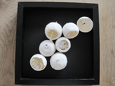 Picture: ../upload/IMG-11797.gif