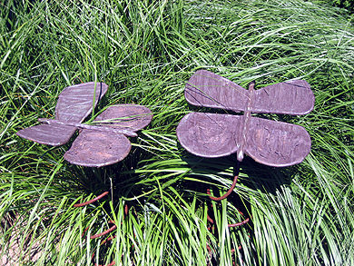 Picture: ../upload/IMG-1247.jpg