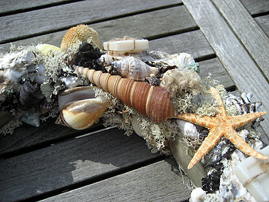 Picture: ../upload/IMG-1318.jpg