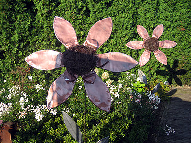 Picture: ../upload/IMG-1388.jpg