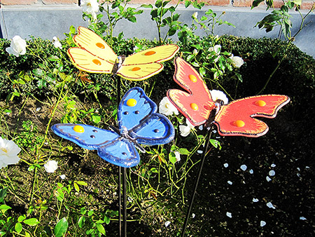 Picture: ../upload/IMG-16692.jpg