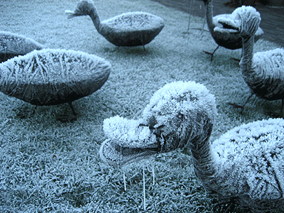 Picture: ../upload/IMG-1691.gif