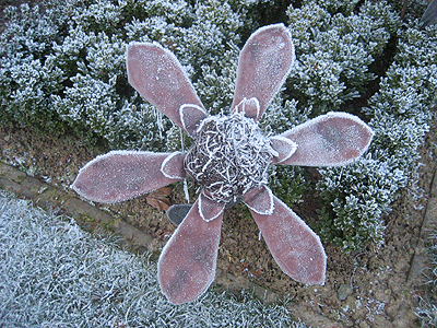 Picture: ../upload/IMG-1693.gif