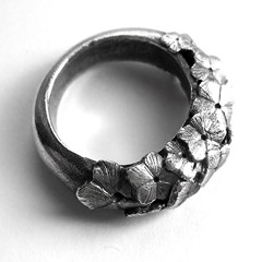 Picture: Holle ring