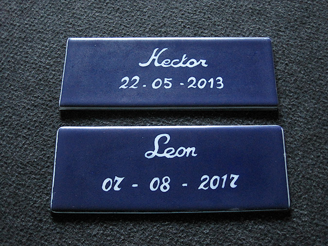 Picture: ../upload/IMG-17763.jpg