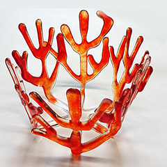 Picture: Expert drapings 2