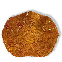 Picture: Crackle schaal