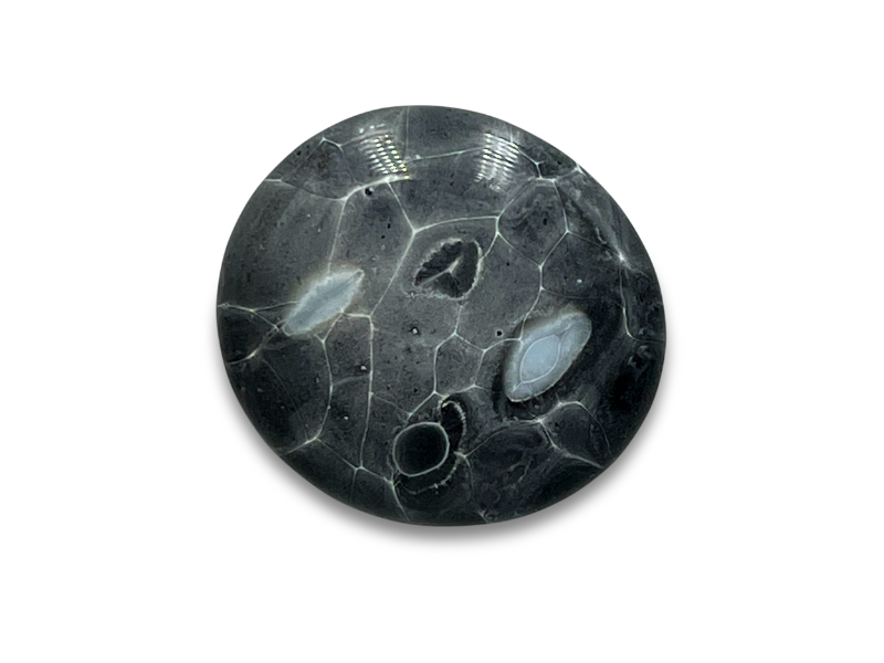 Picture: ../upload/IMG-21562.png