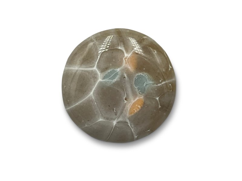 Picture: ../upload/IMG-21569.png