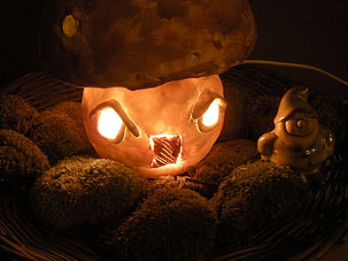 Picture: ../upload/IMG-2842.jpg