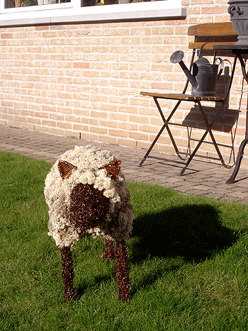 Picture: ../upload/IMG-36.gif