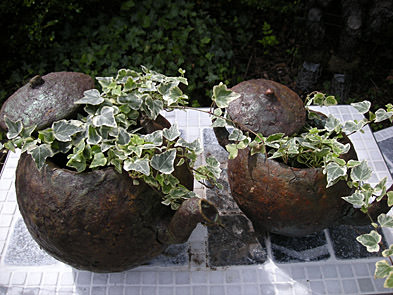 Picture: ../upload/IMG-3687.jpg