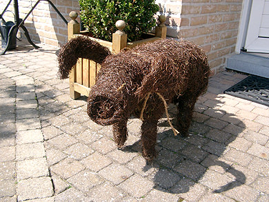 Picture: ../upload/IMG-434.jpg