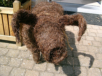 Picture: ../upload/IMG-437.jpg