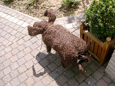 Picture: ../upload/IMG-438.jpg