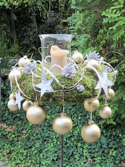 Picture: ../upload/IMG-7881.jpg