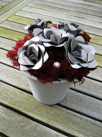 Picture: ../upload/IMG-878.jpg