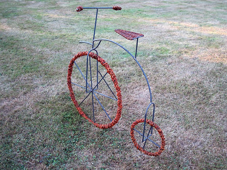 Picture: ../upload/IMG-8902.jpg