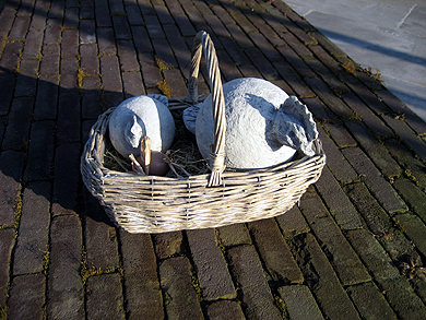 Picture: ../upload/IMG-895.jpg