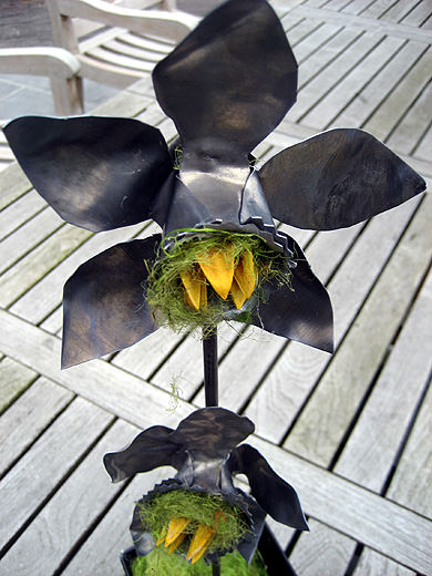 Picture: ../upload/IMG-985.jpg