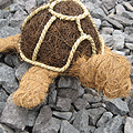 Schildpad in natuurmateriaal