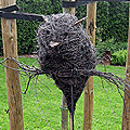 Uil in natuurmateriaal