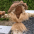 Vogelschrik in natuurmateriaal