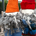 Kabouters in vilt