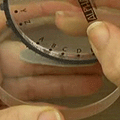 Gebruik van de Alphadisc
