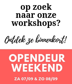 Workshop foto
