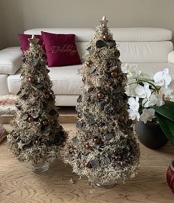 Workshop foto Kerstboompjes (CANCELED)