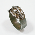 Ring in zilver
