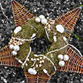 Kerster en kerstboom