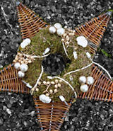 Kerstster / Kerstboom Kerstster / Kerstboom