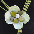 Schelpenbloem ketting
