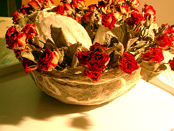 Picture: ../upload/IMG-101.gif