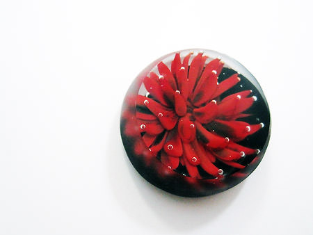 Picture: ../upload/IMG-10285.jpg